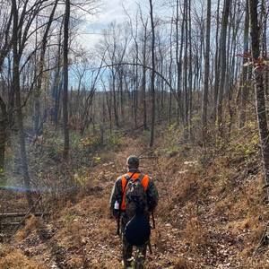 Meet your Posher, Casey